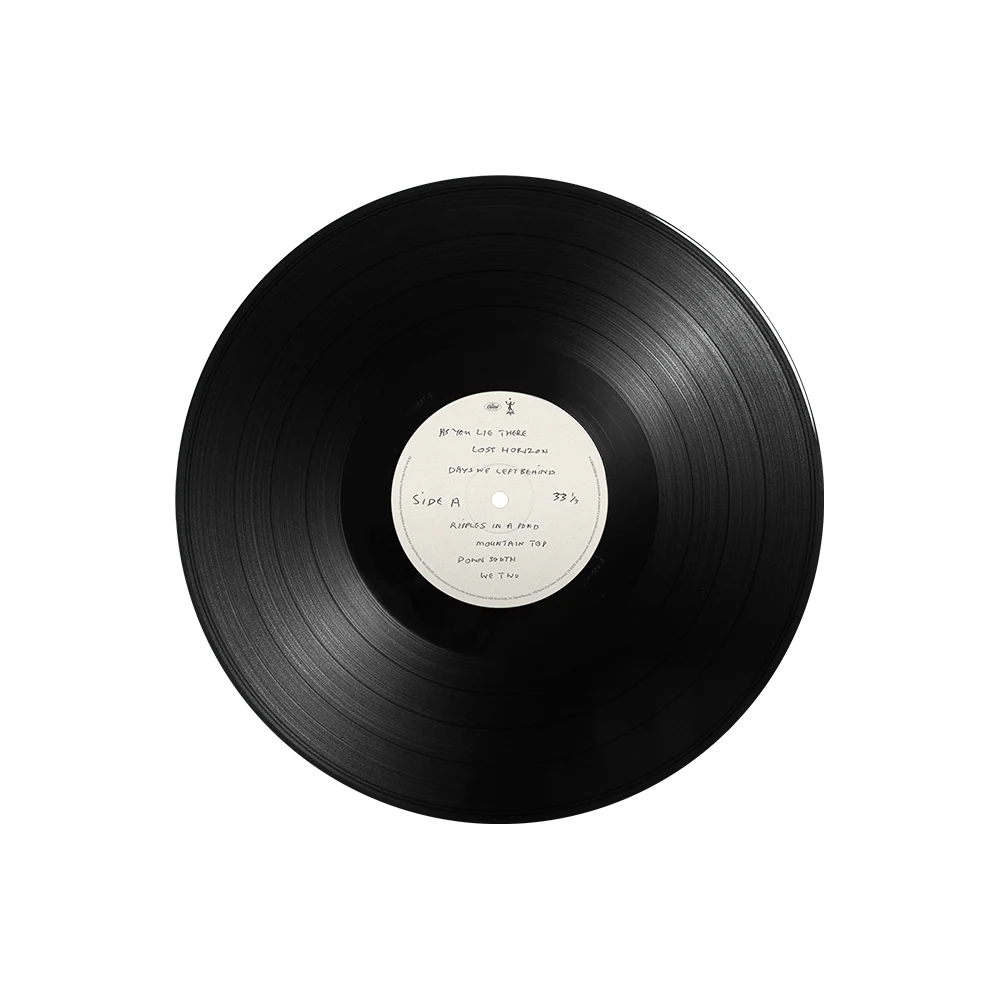 The Boys of Dungeon Lane - 180g Gatefold LP - Image 6