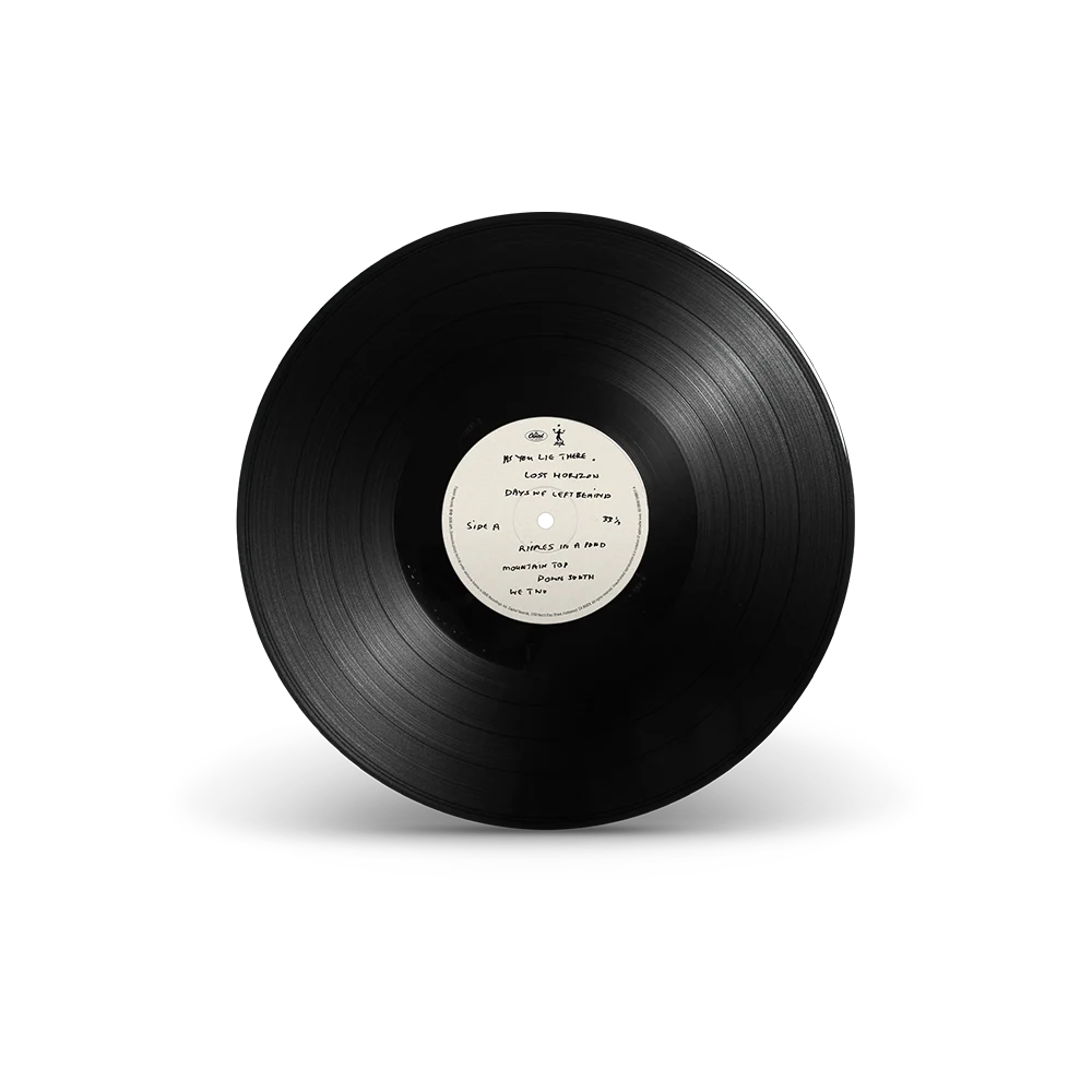 The Boys of Dungeon Lane - LP - Image 3